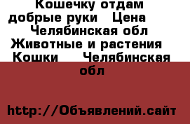 Кошечку отдам  добрые руки › Цена ­ 0 - Челябинская обл. Животные и растения » Кошки   . Челябинская обл.